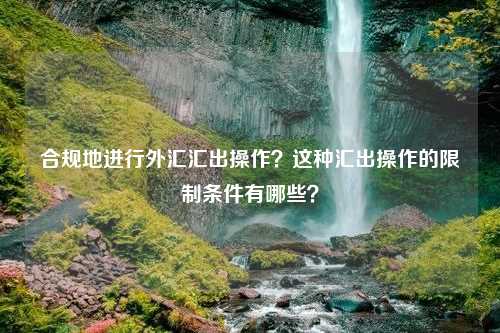 合规地进行外汇汇出操作？这种汇出操作的限制条件有哪些？