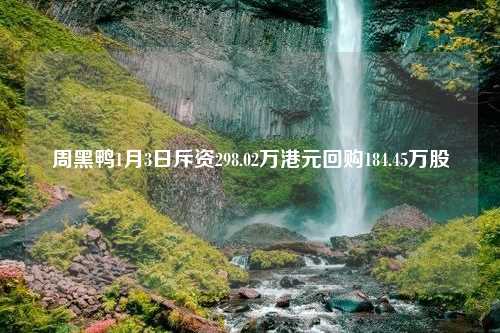 周黑鸭1月3日斥资298.02万港元回购184.45万股